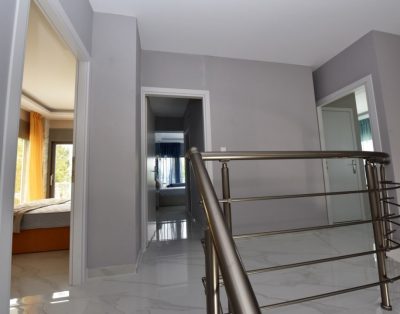 Polina Villa