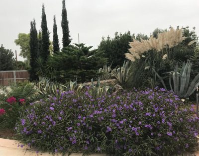 Milla Villa