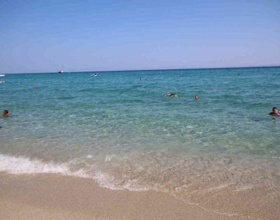 Alla Holiday House