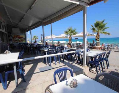 Alla Holiday House
