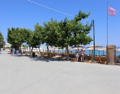 Alla Holiday House