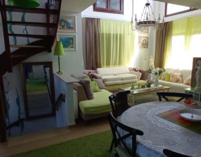 Zara Villa