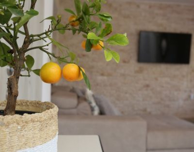 Faros Holiday House