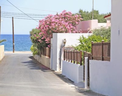 Vira Holiday House