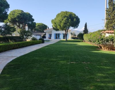 Schinia Villa